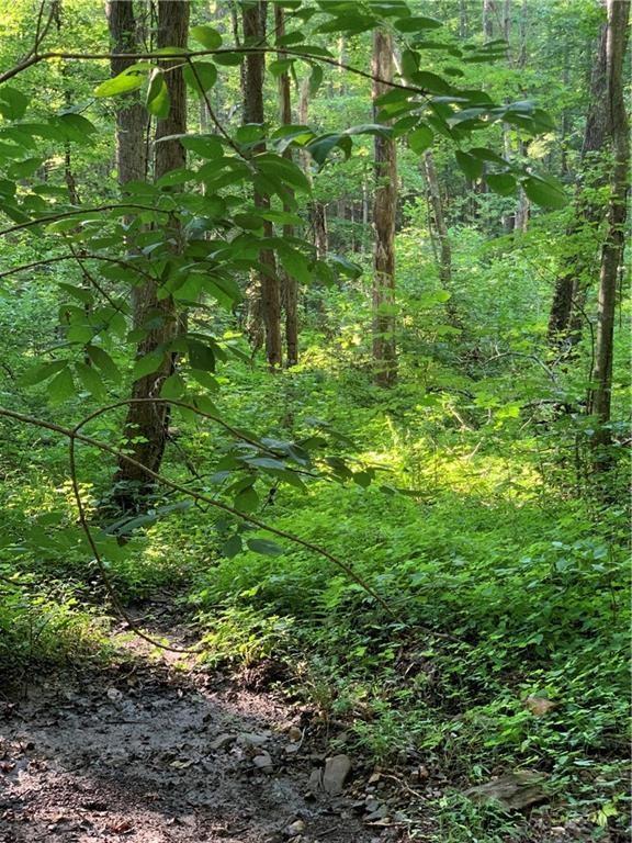 69 Talking Rock Falls, Talking Rock, GA 30175