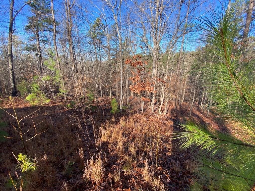 6685 Bobby John Rd., Atlanta, GA 30349