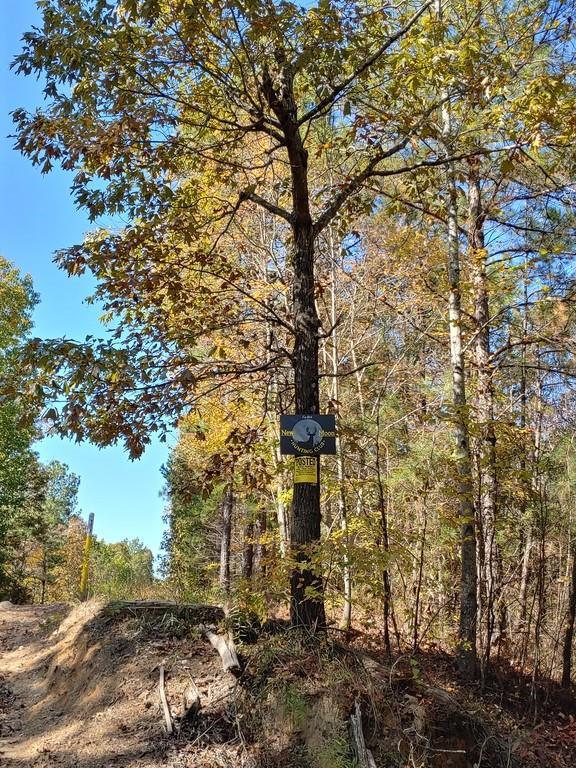 Lucas Rd., Dallas, GA 30132