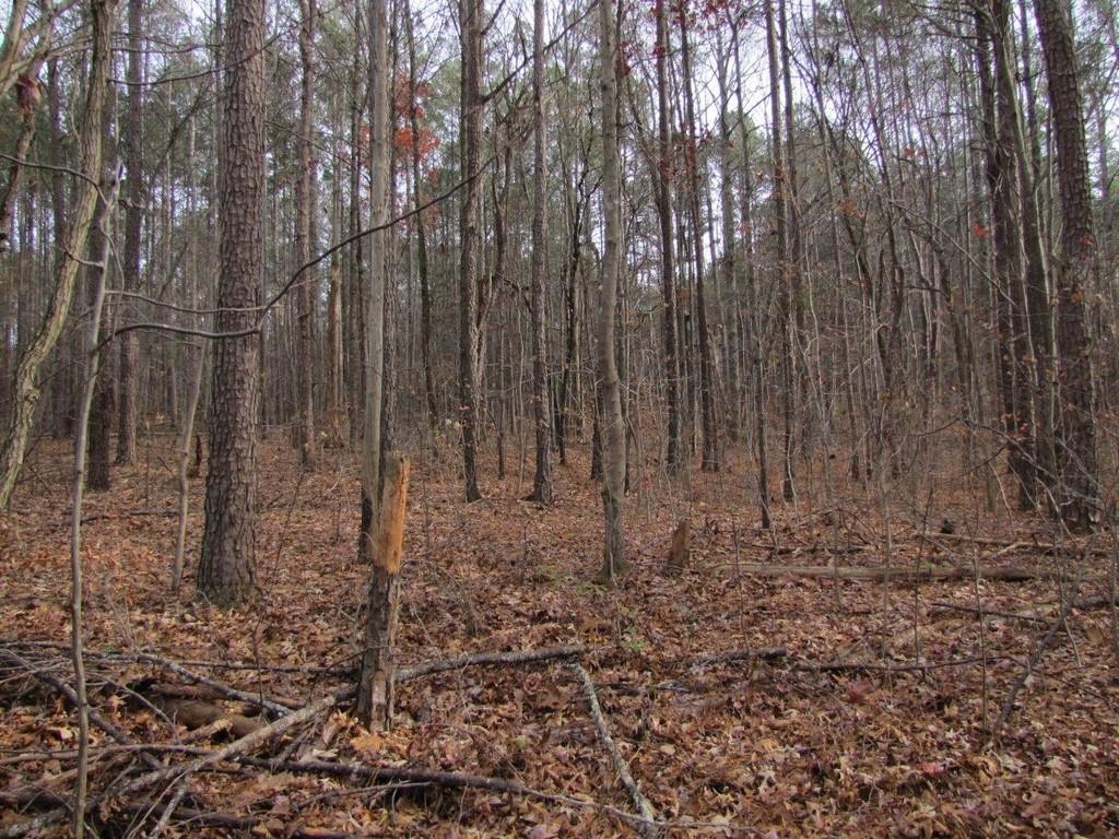 230 Mars Hill Rd., Powder Springs, GA 30127