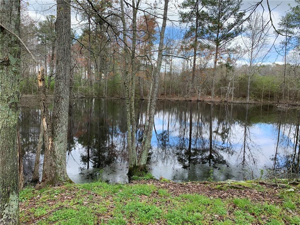 Snow Springs Rd., Adairsville, GA 30103