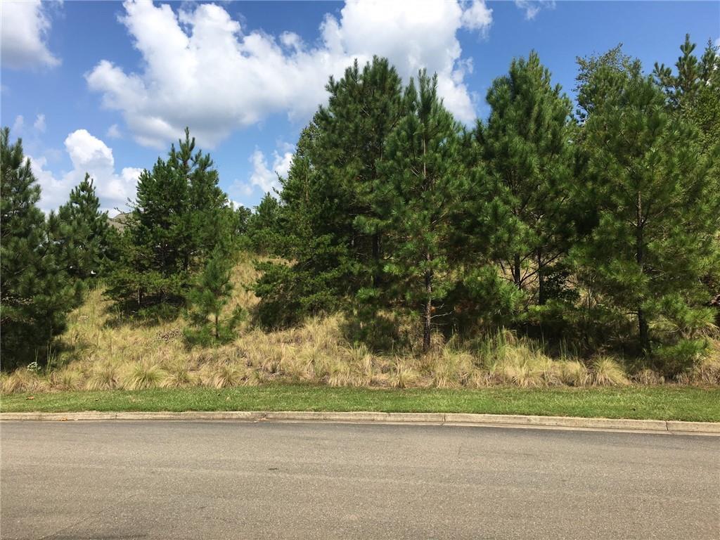 110 Sharp Mountain Creek, Ball Ground, GA 30107
