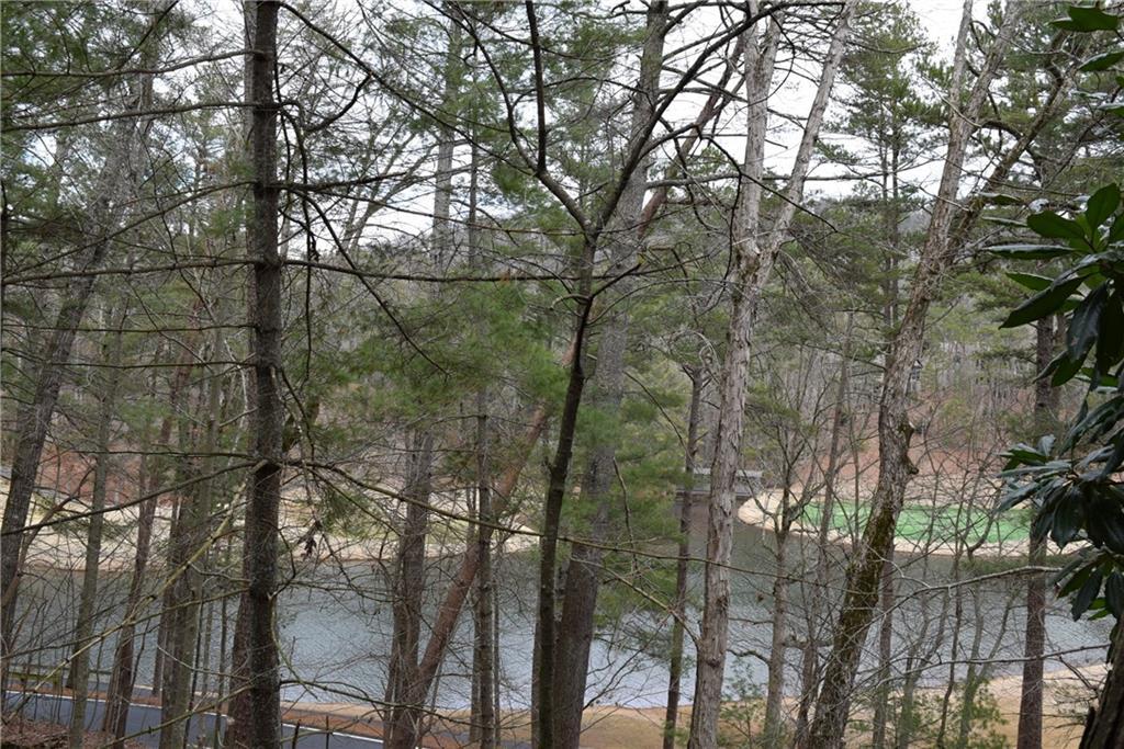34 Sconti Ridge #405, Big Canoe, GA 30143