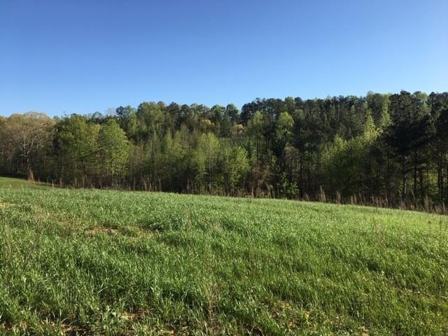 3164 W Hwy 136, Talking Rock, GA 30175