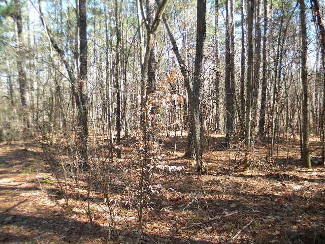 00 Daniell Mill Rd., Winston, GA 30187