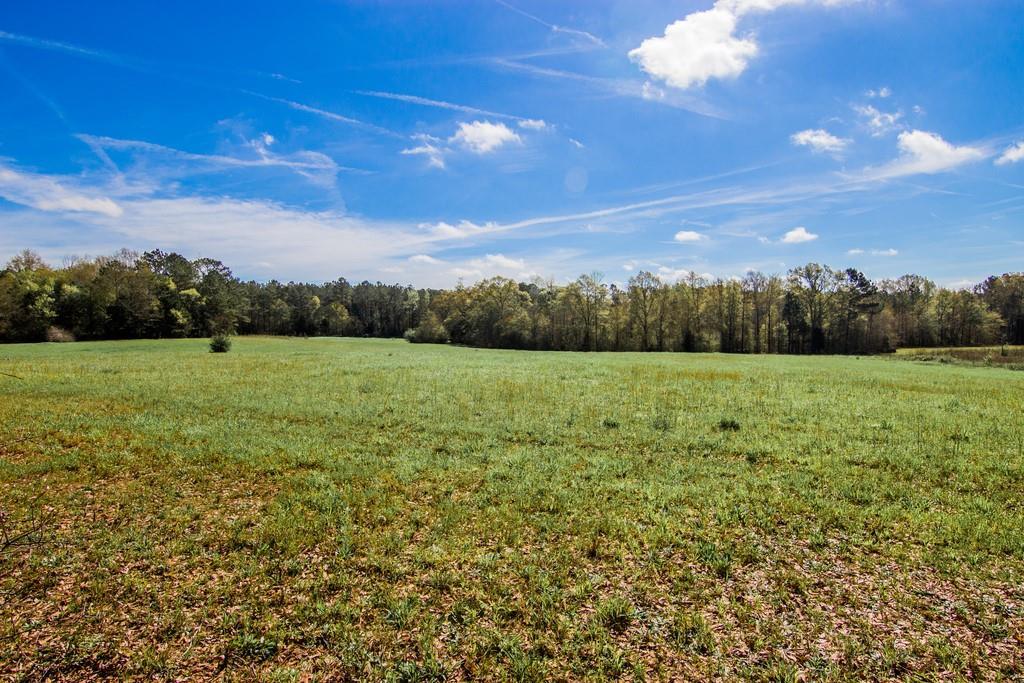 217 Chappell Mill Rd., Milner, GA 30257