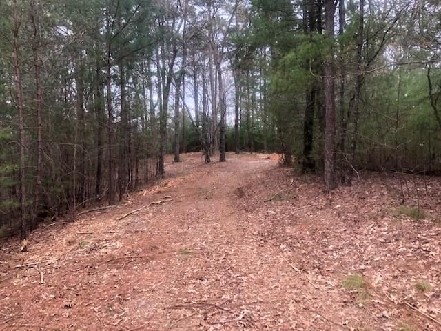 Tr 3 Hap Holt Rd., Ellijay, GA 30540