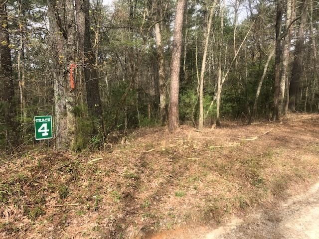 Tr 4 Hap Holt Rd., Ellijay, GA 30540