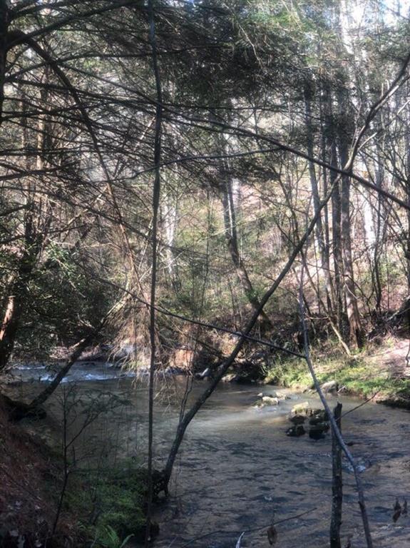 Tr 1 Hap Holt Rd., Ellijay, GA 30540