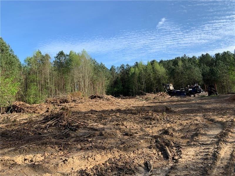 Lot 1 Pleasant Hill Road Rd., Talking Rock, GA 30175