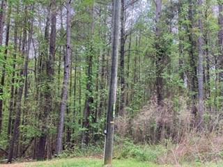 3160 Buck Branch Rd., Conyers, GA 30094