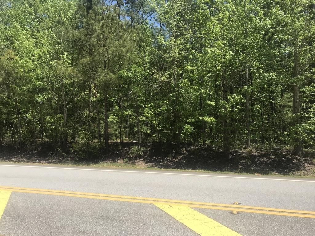 Hwy 5, Douglasville, GA 30135