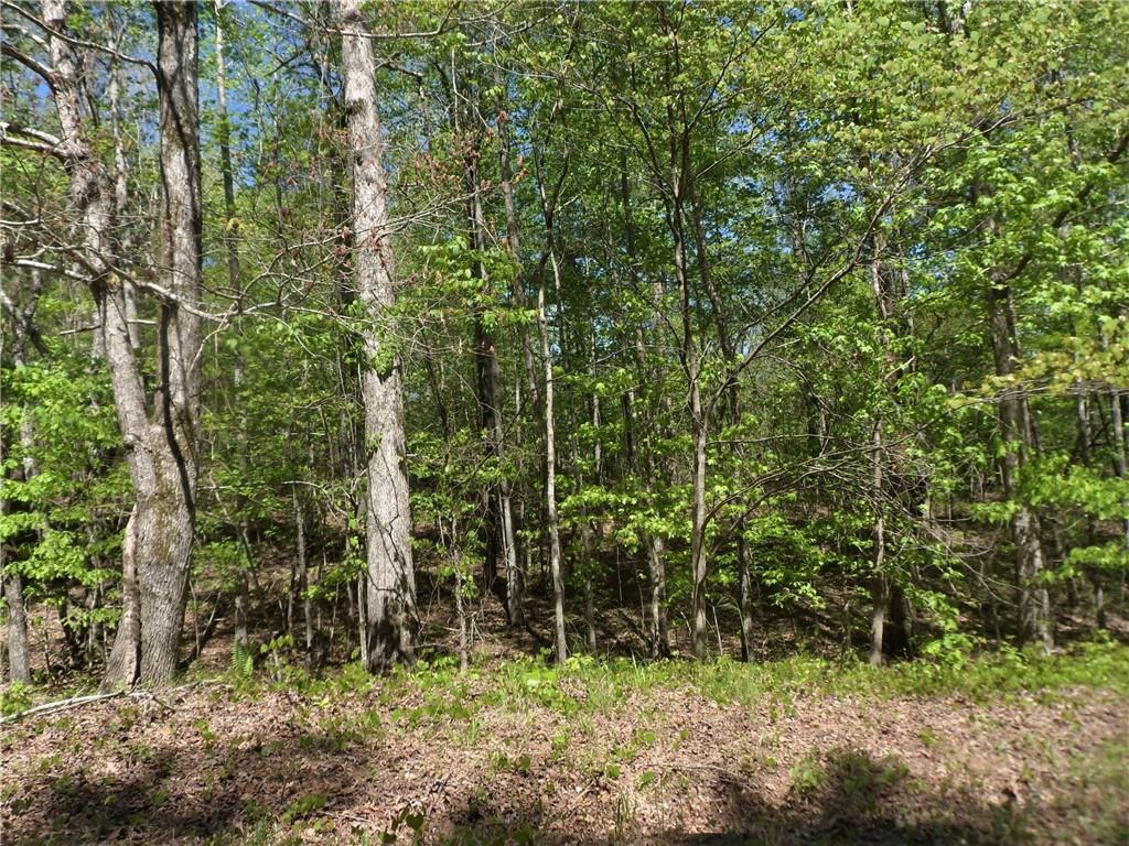 6051 Bear Lake Dr., Douglasville, GA 30135