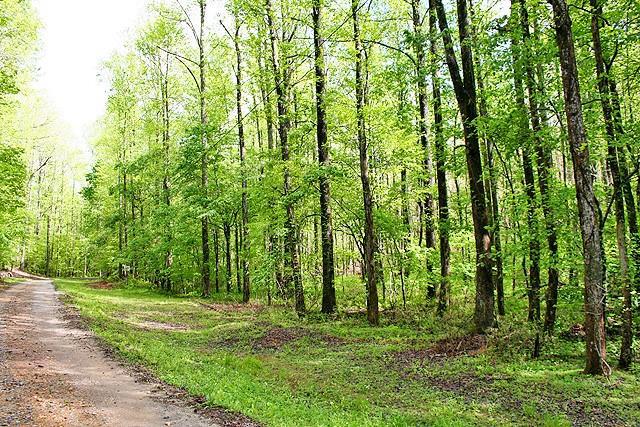 Braeburn Ln., Dahlonega, GA 30533