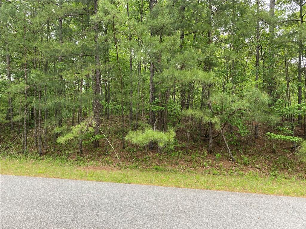 Hale Mountain Ct., Hiram, GA 30141