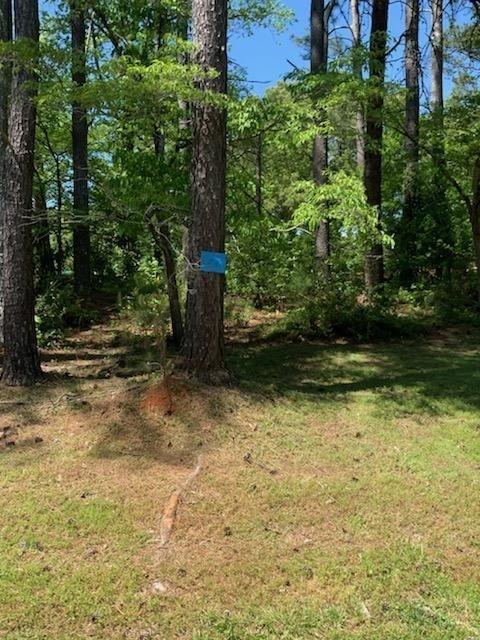 Tatum Rd., Palmetto, GA 30268