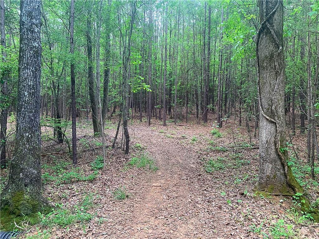 Mackey Creek Rd., Jackson, GA 30233