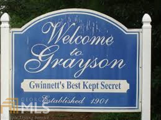 Ga Hwy 84, Grayson, GA 30017