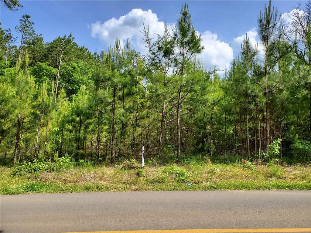 3423 River Bend Rd., Plainville, GA 30733