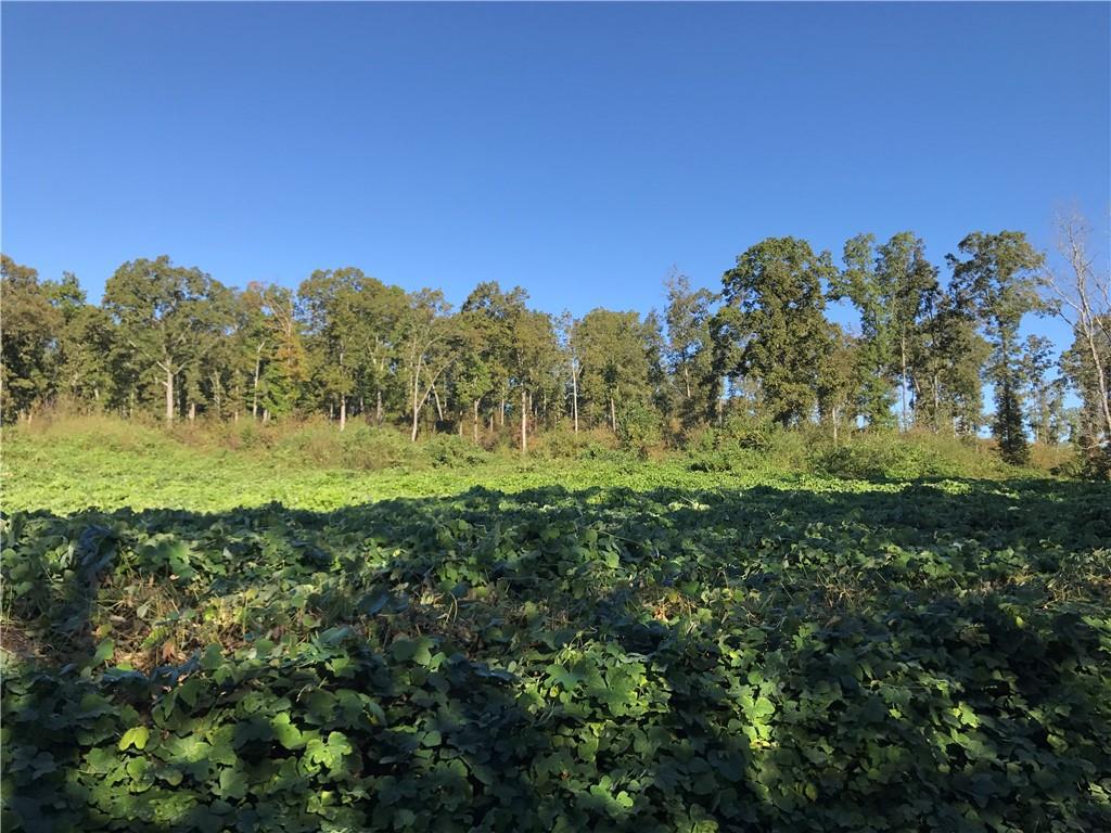 000 Clear Creek Rd., Adairsville, GA 30103