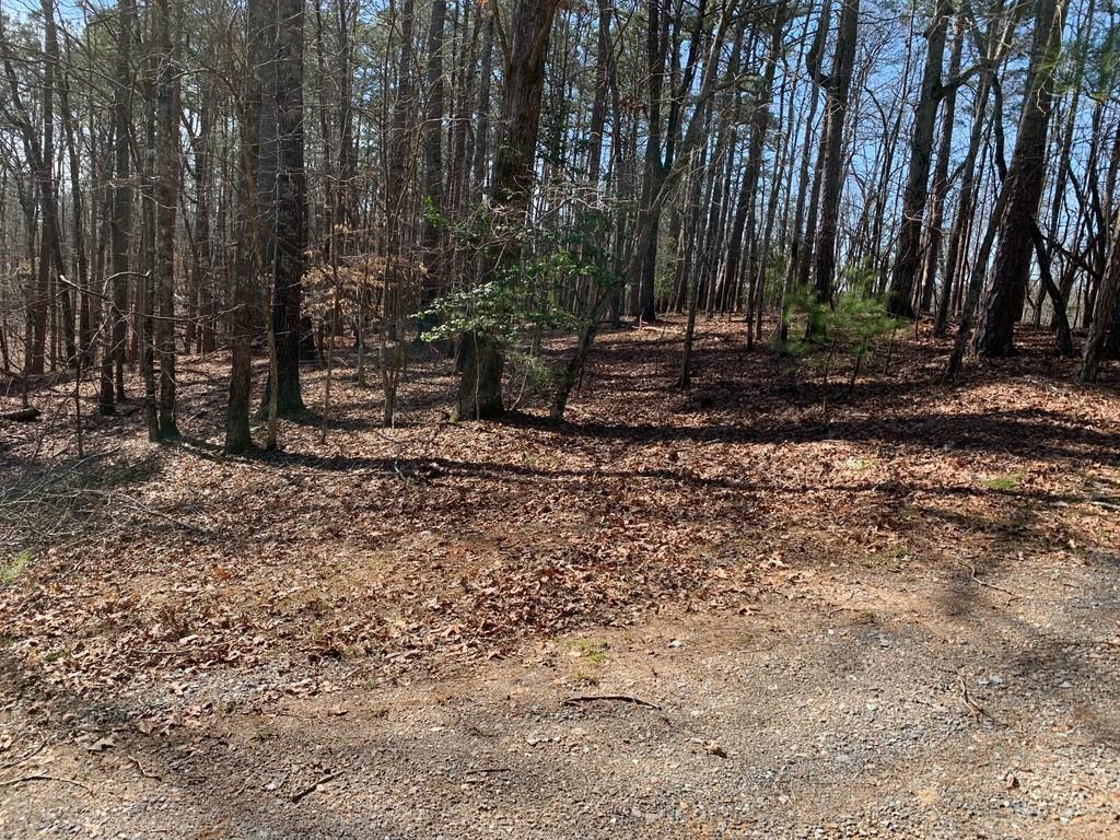Norse Ct., Ellijay, GA 30540
