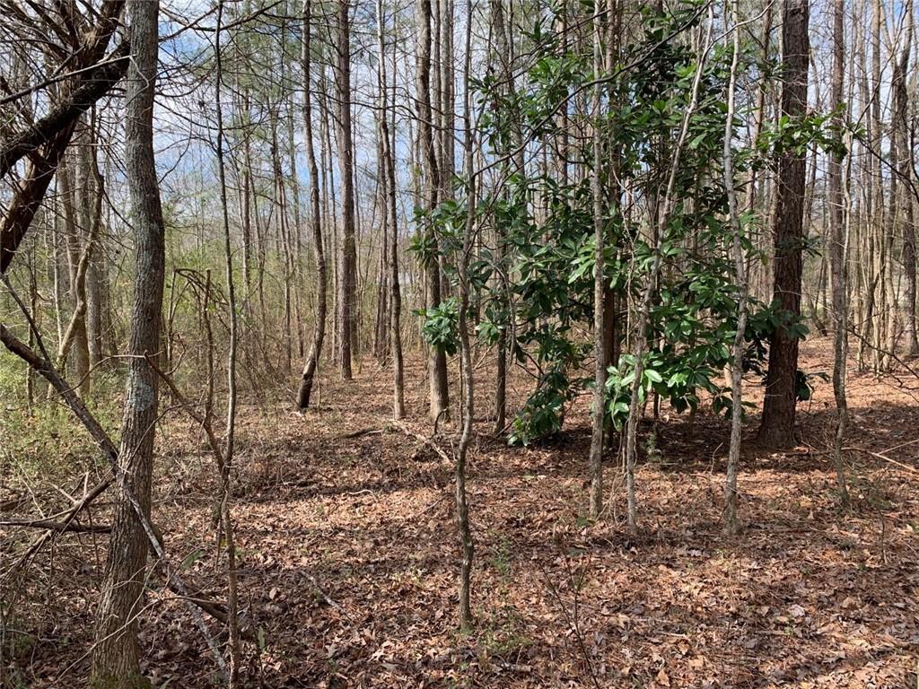 432-B Coots Lake Rd., Rockmart, GA 30153