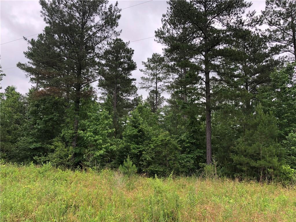 Trt 4 Satcher Rd., Taylorsville, GA 30178