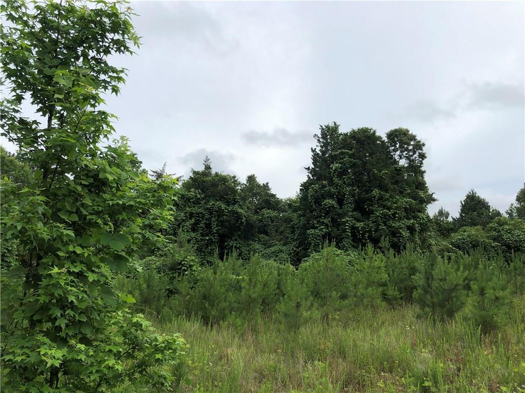 Trt 10 Satcher Rd., Taylorsville, GA 30178