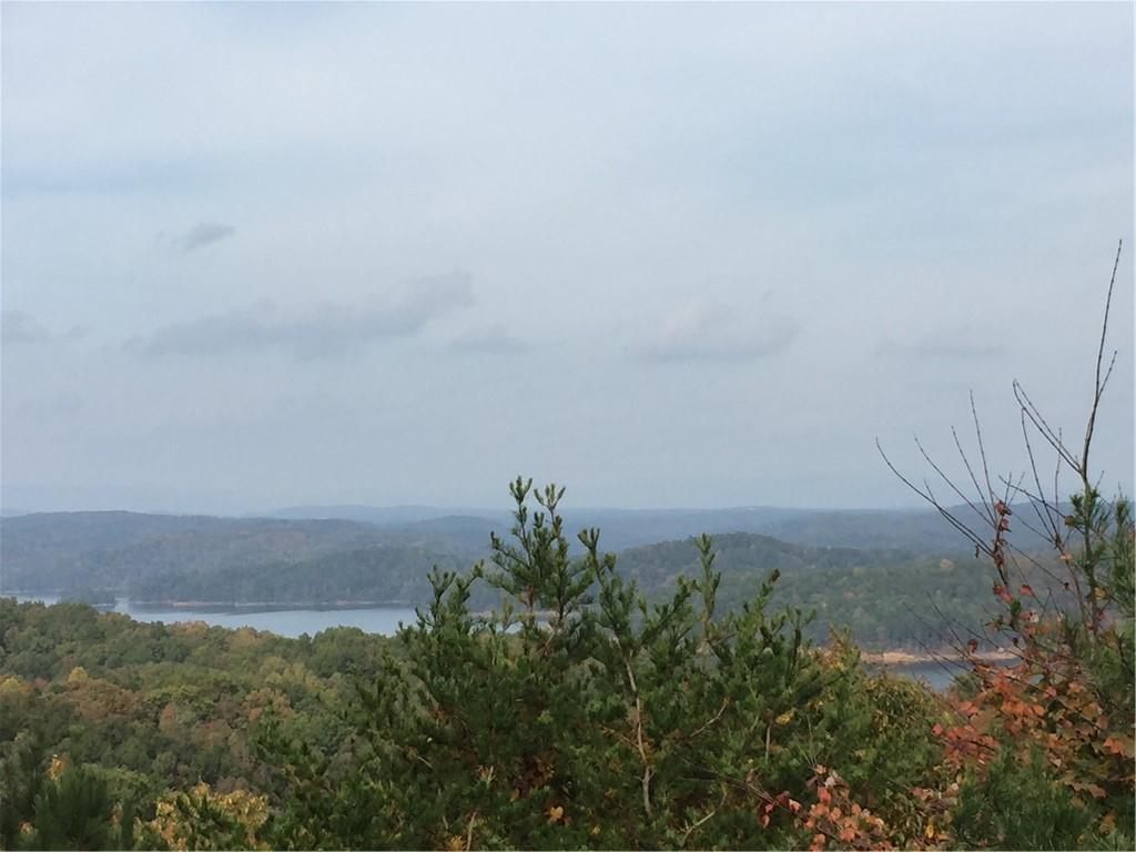 95 William Way, Ellijay, GA 30540