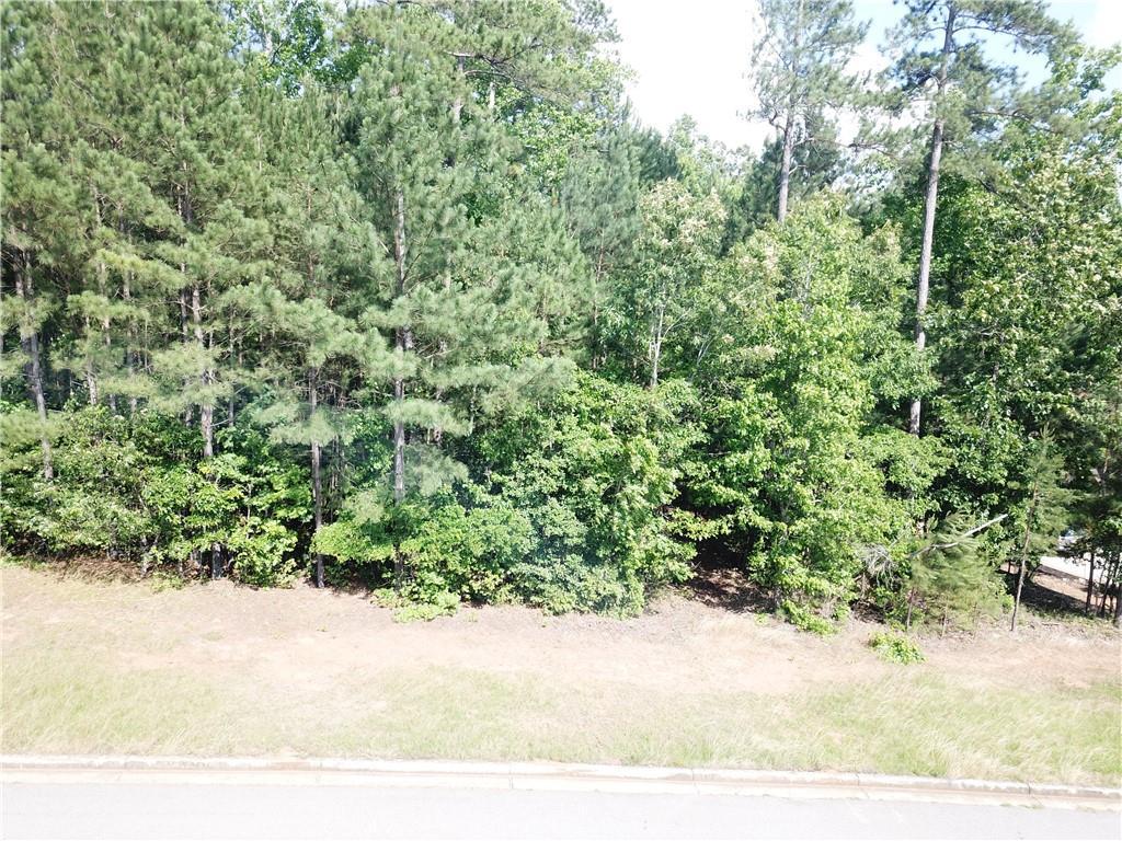 7290 River Walk Dr., Douglasville, GA 30135