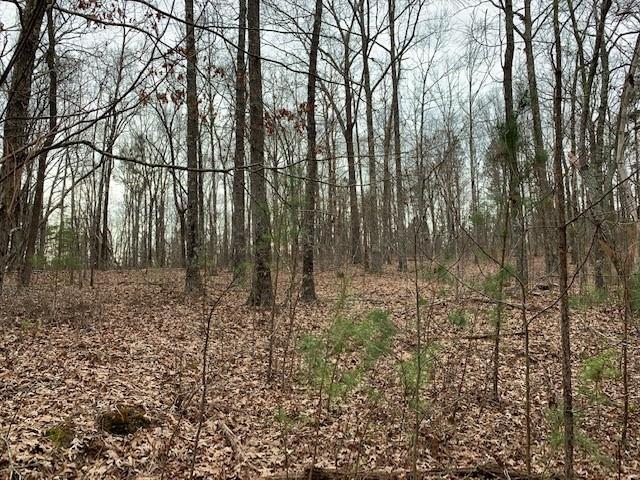 Bethlehem Rd., Rockmart, GA 30153