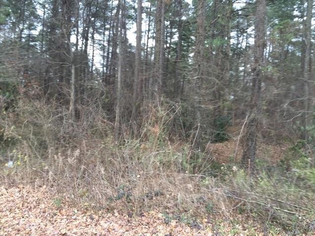 9305 Scott Rd., Roswell, GA 30076