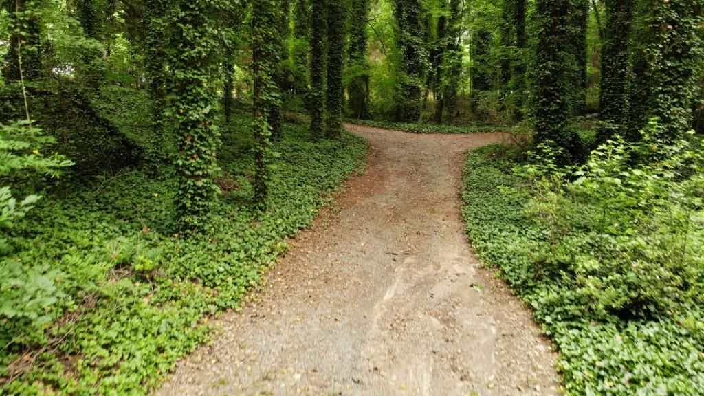 131 Rocky Creek Farm Dr., Woodstock, GA 30188