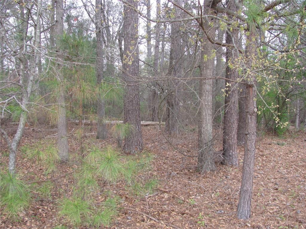 3554 Rockland Rd., Stonecrest, GA 30038