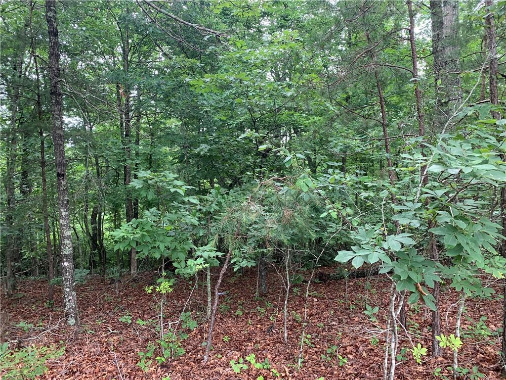 [Address Hidden by Seller], Dahlonega, GA 30533