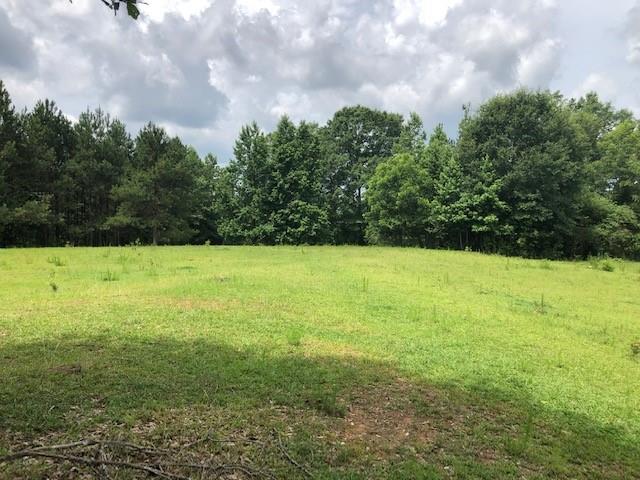 Jacksonville Rd., Tallapoosa, GA 30176