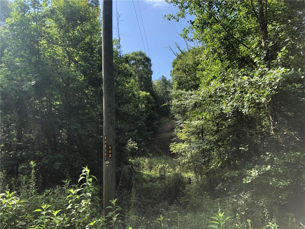 Fire Tower Rd., Rome, GA 30161