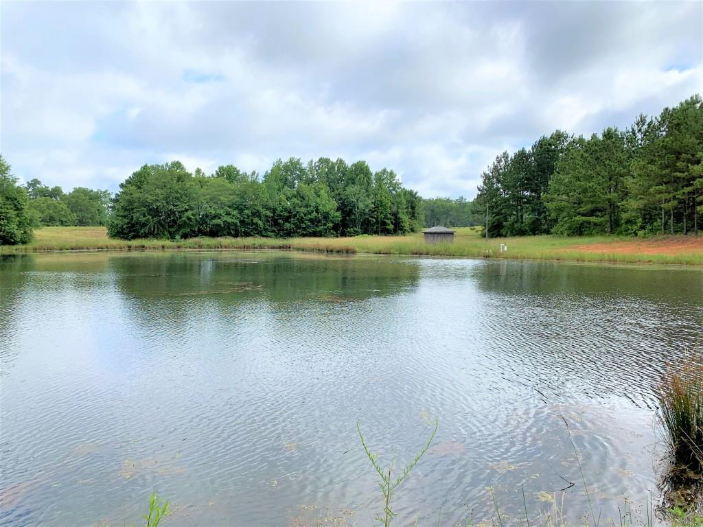 Chapman Rd., Meansville, GA 30256