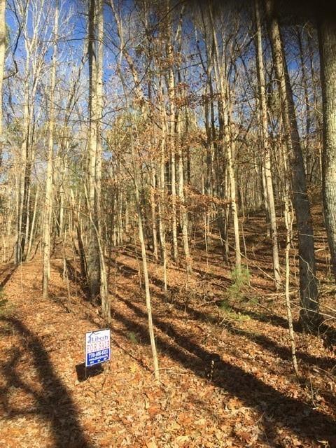 LT2 Teresa Dr., Sautee Nacoochee, GA 30571