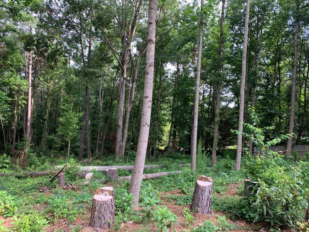 Rock Springs Rd., Buford, GA 30519