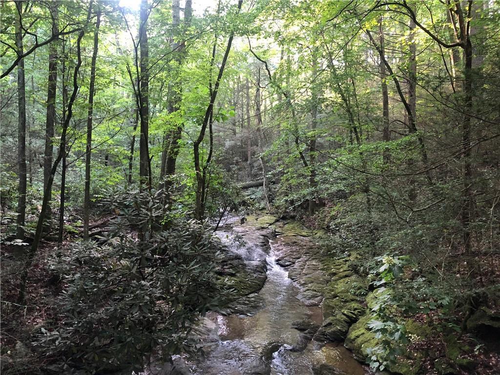 Clinton Lunsford Rd., Chatsworth, GA 30705