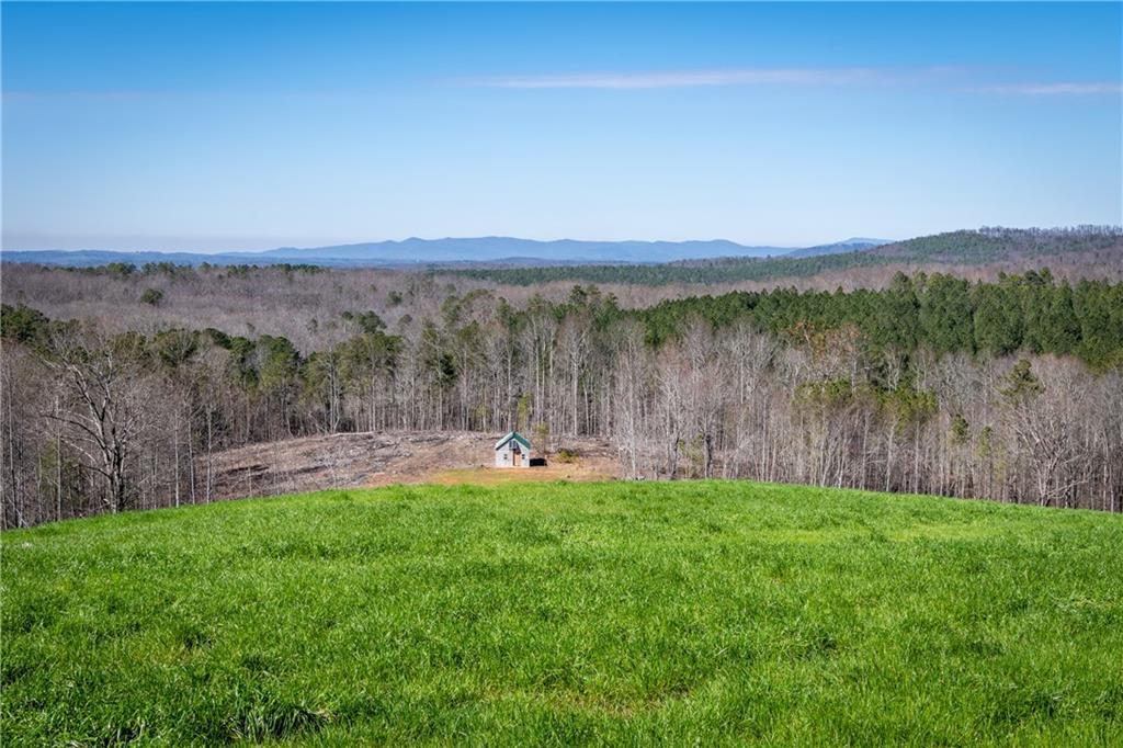 1 A Serenity Mountain View, Talking Rock, GA 30175