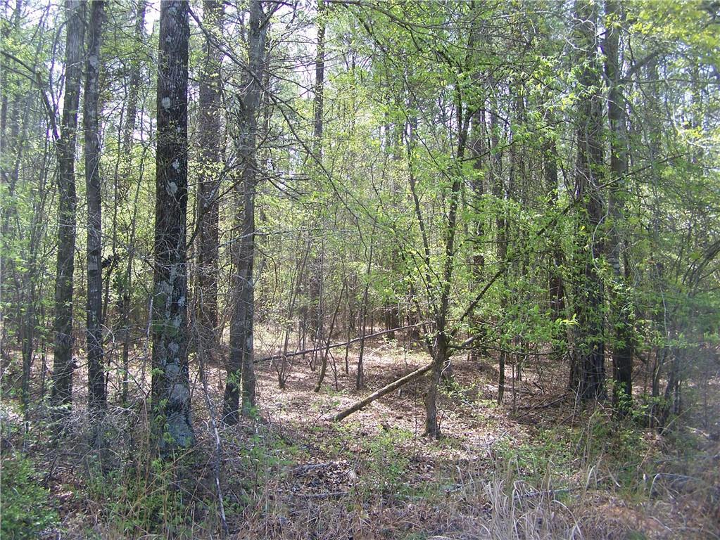 NE Marshall Rd., Buckhead, GA 30625