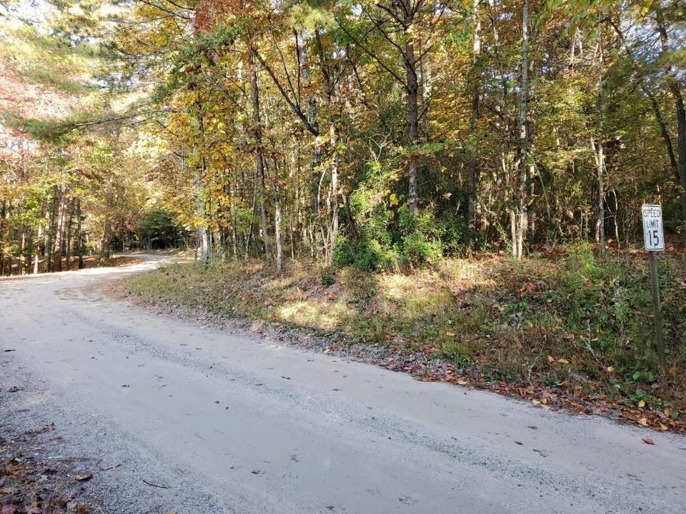 000 Tanner Cove Rd., Blairsville, GA 30512