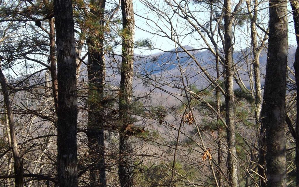 Ivy Log Estates, Blairsville, GA 30512