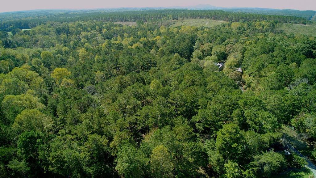 169 Old Fincher Ct., Canton, GA 30114