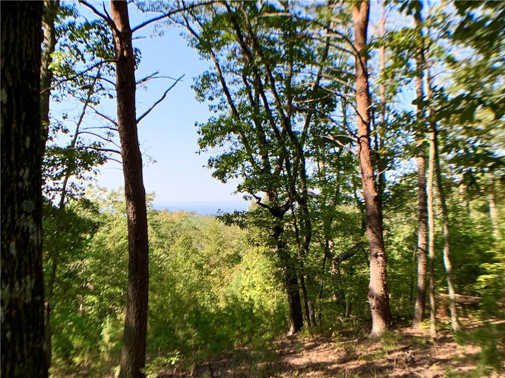 Hannah Drive Dr., Ranger, GA 30735