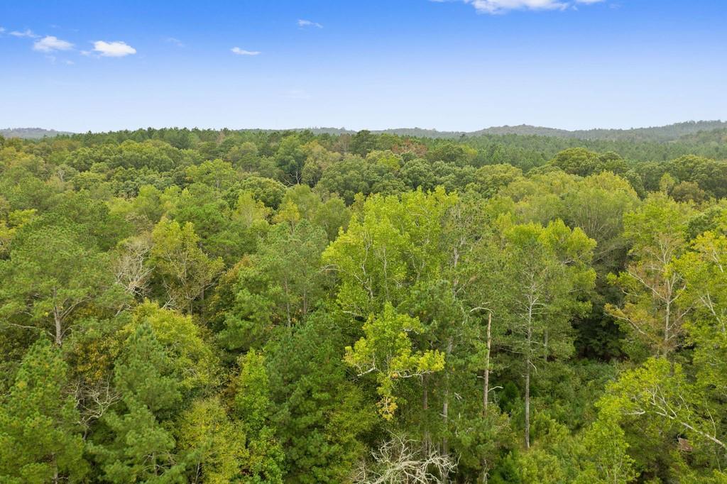 Cedar Lane Ln., Adairsville, GA 30103