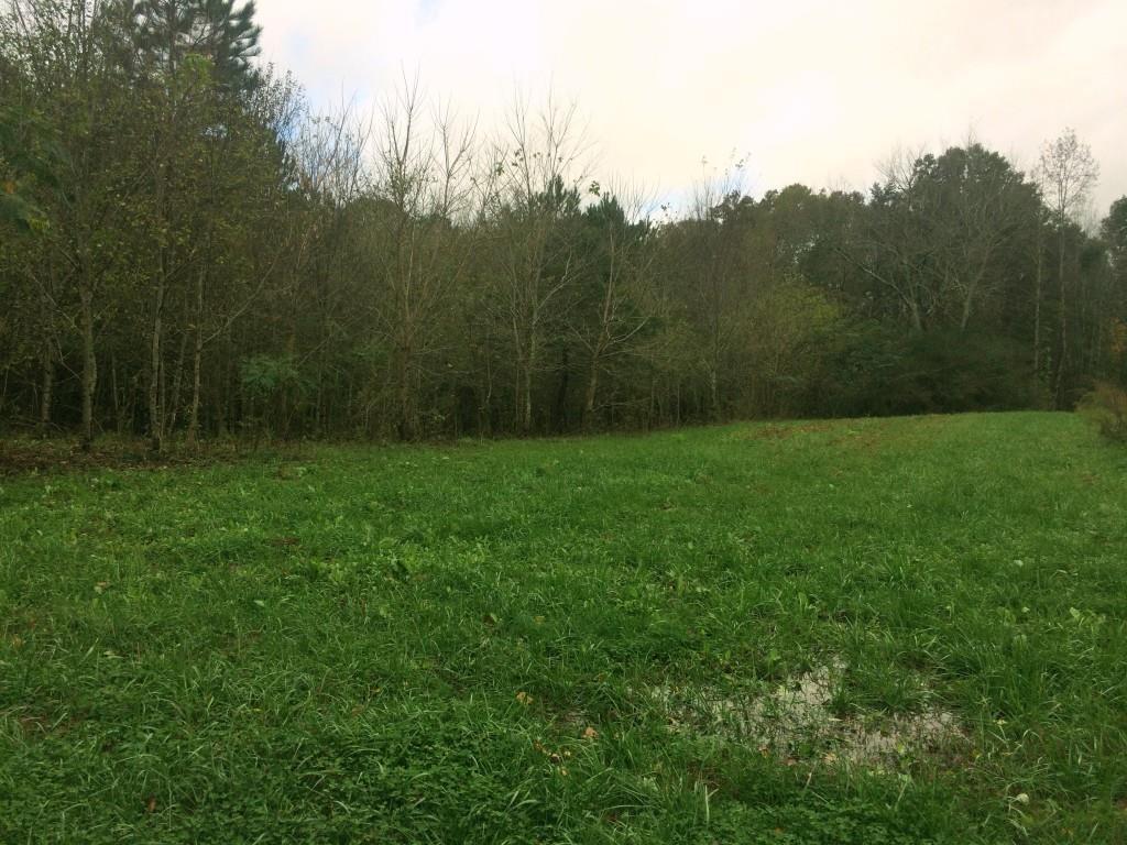 Carver Mill Rd., Talking Rock, GA 30175