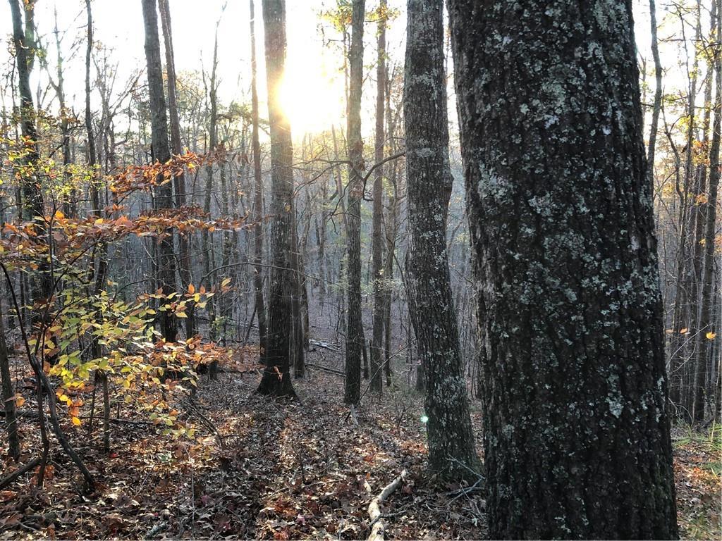 Lot 12 Meadowlands Dr., Talking Rock, GA 30175